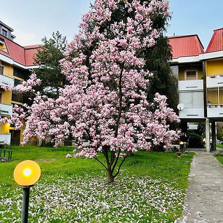 Il Contrabbasso Cremona Zewnętrze zdjęcie