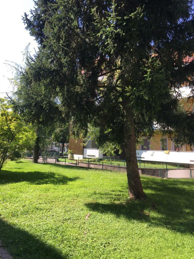 Il Contrabbasso Cremona Zewnętrze zdjęcie